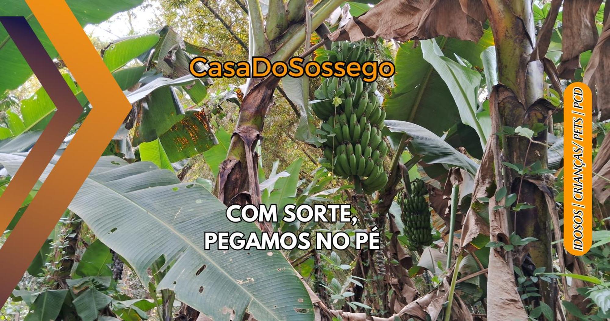 Casadosossego Criancas Pets Idosos Pcd Holiday home *