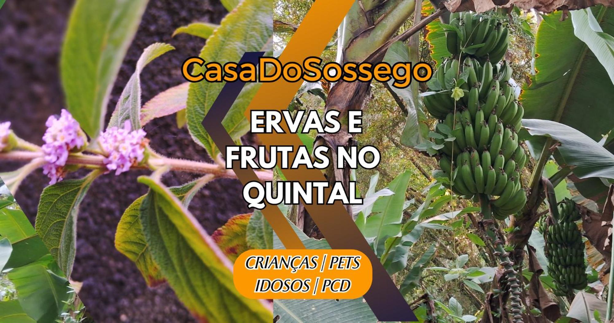 Holiday home Casadosossego Criancas Pets Idosos Pcd